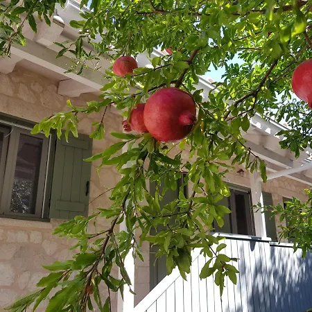 Apartman Wild Sea Áyios Nikítas